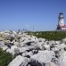 lighthouse_island_seal_machias_h_3009_can1658.jpg